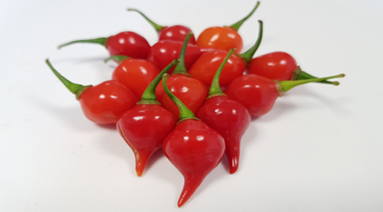 Pimenta Biquinho