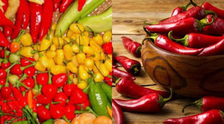pimentas mexicanas